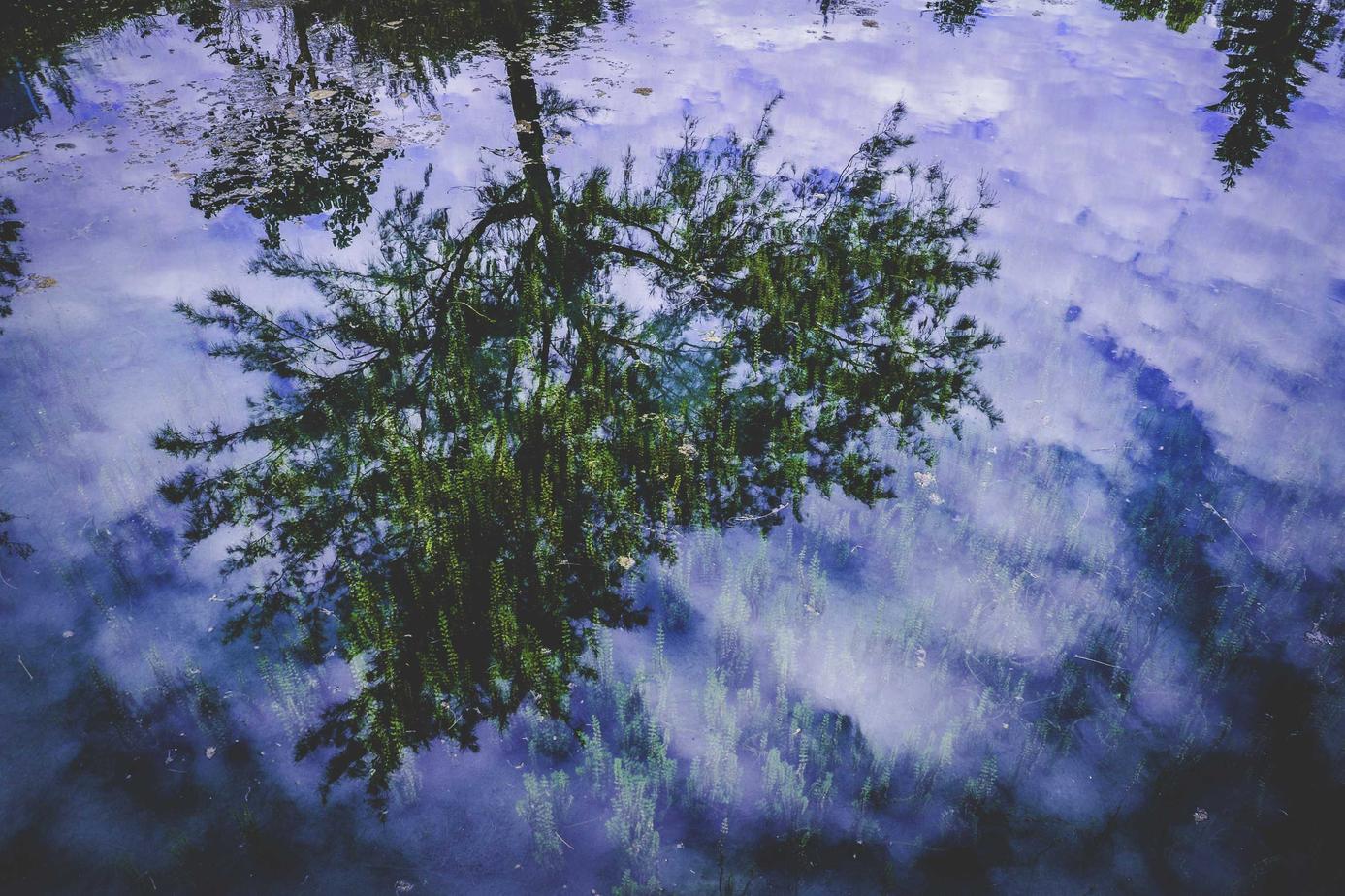 Voluptatibus autem et a neque sapiente